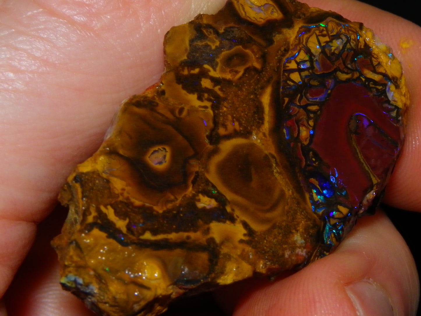 NIce Rough/Sliced Koroit Opals Nuts 260cts Patterns Fires Double sided :)