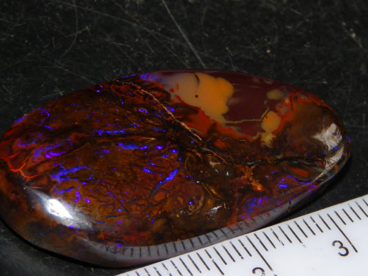 Nice Cut/Polished Koroit Opal Freeform 61.2cts Blue/Purple Fires/Patterns Qld Australia
