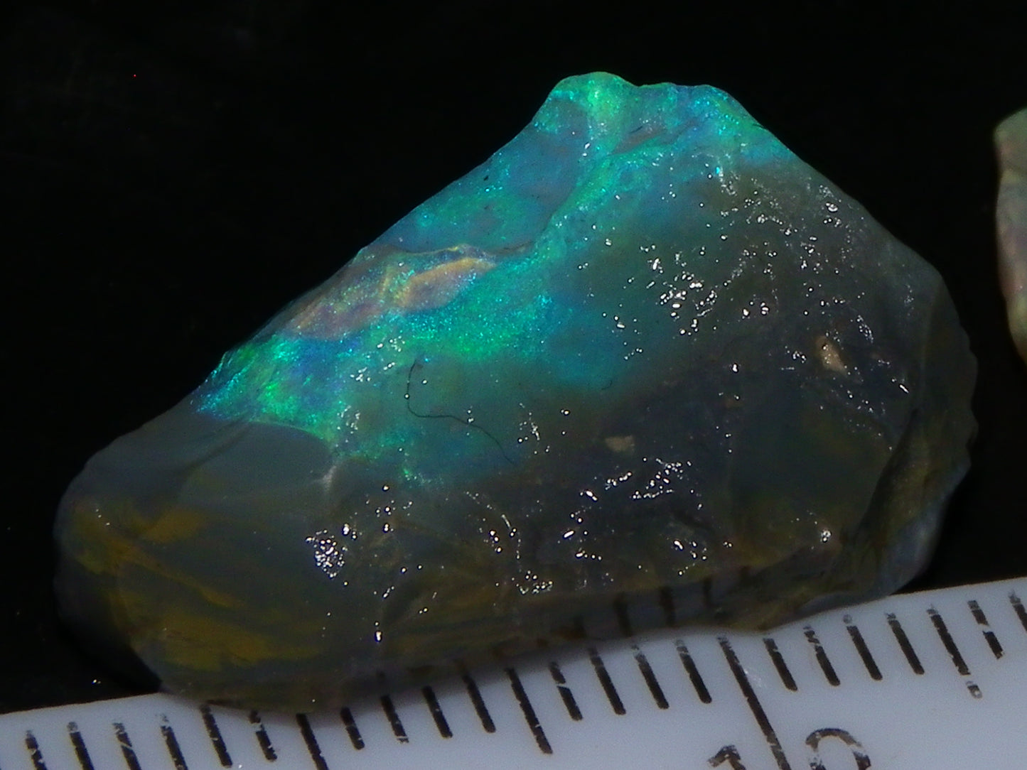 Nice Lightning Ridge Opal Rough Parcel 48.24cts Green/Blue/Red Fires Seam/Grey /Crystal