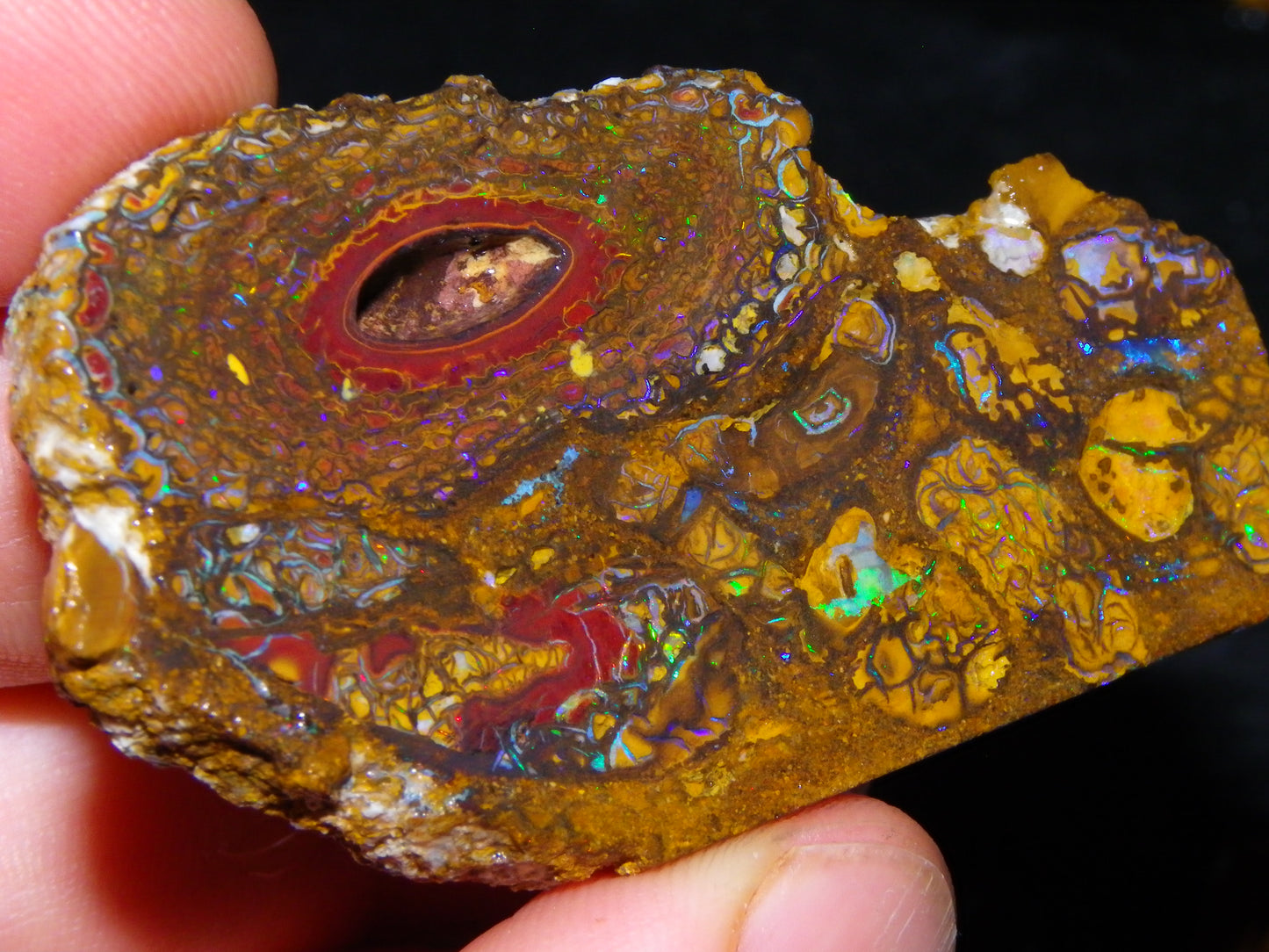 Nice Sliced/Rough Koroit Opal Parcel 236.6cts Patterns/Fires ironstones Queensland Au