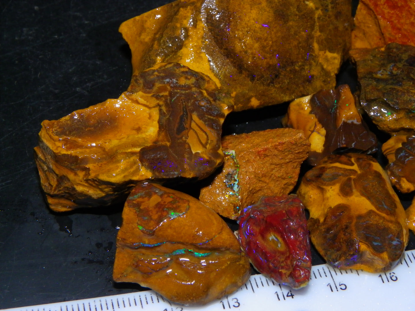 Nice Rough/Rubbed Matrix Opal Parcel 746cts Queensland Australia :)