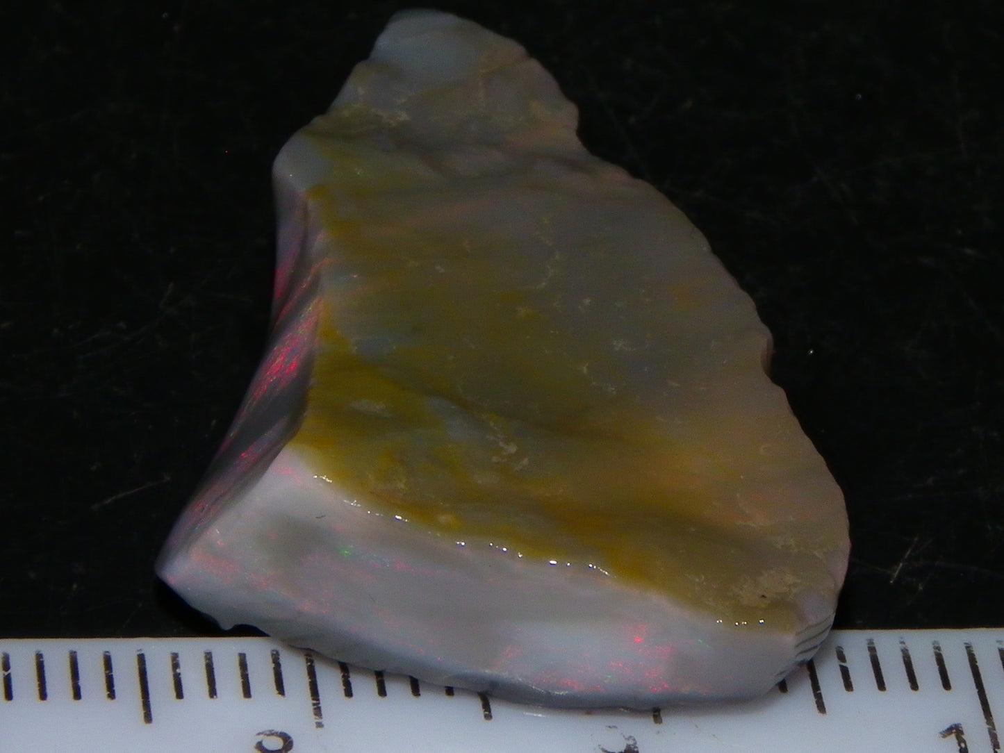 NIce Rough Lightning Ridge Seam Opal Specimen 20.05cts Grey/Light Base Pinks/Green Gamble