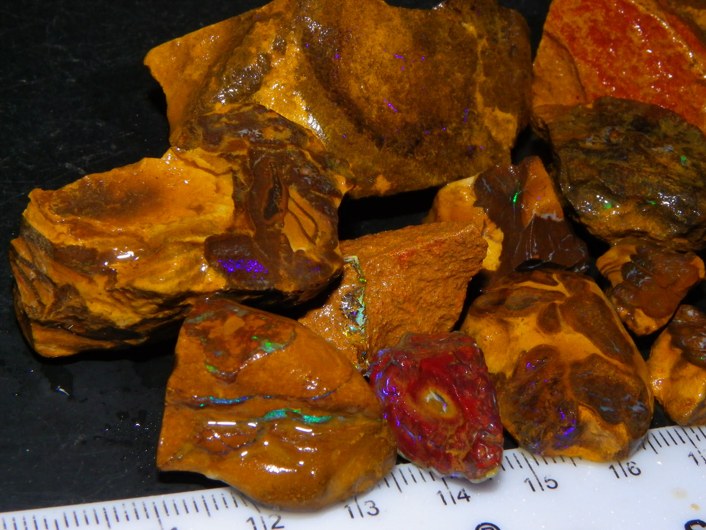 Nice Rough/Rubbed Matrix Opal Parcel 746cts Queensland Australia :)