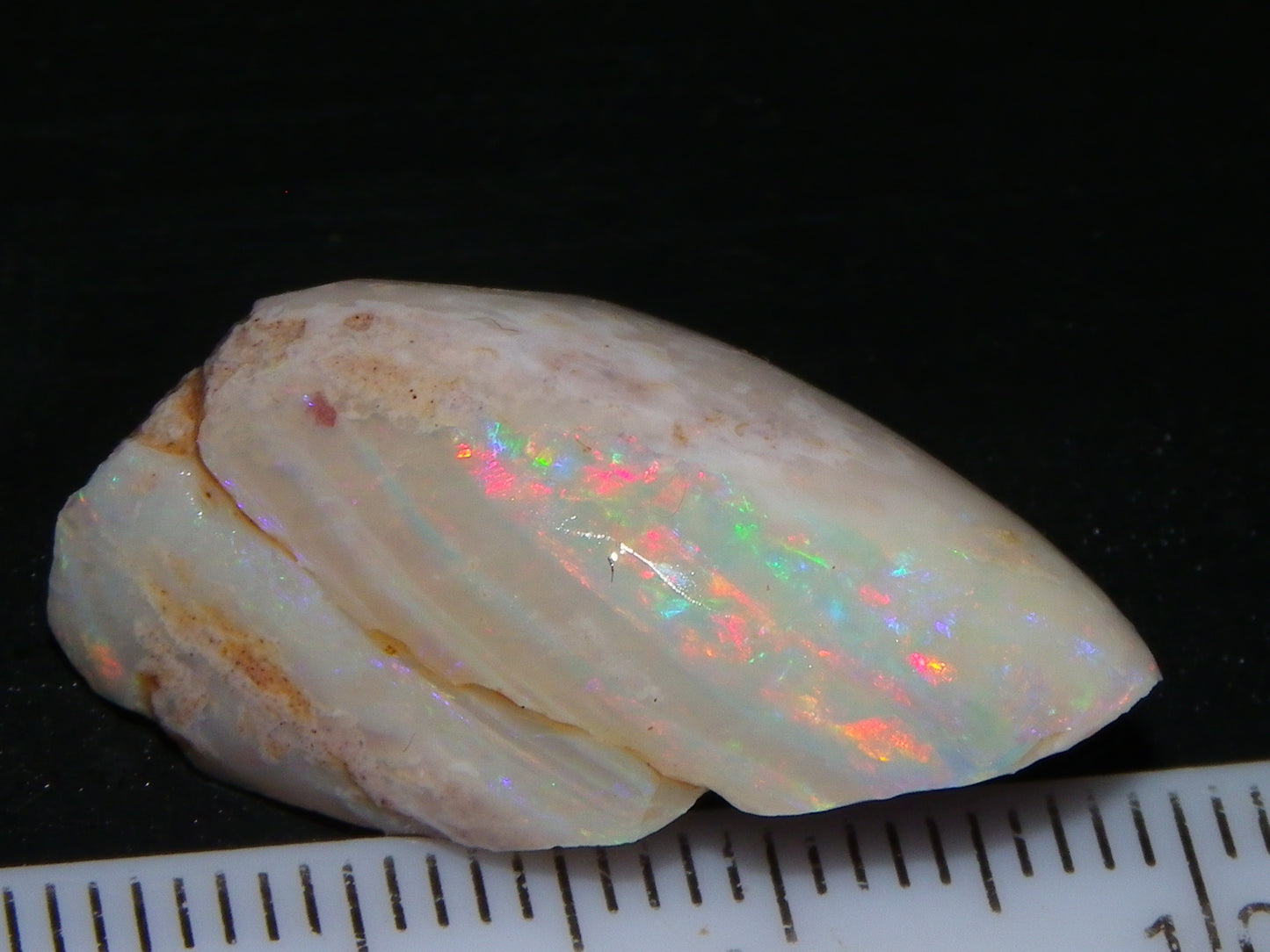 Nice Coober Pedy Fossil Opal Shell Specimen 14.2cts Red/Green/Blue Fires Australia