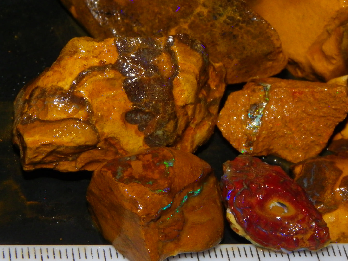 Nice Rough/Rubbed Matrix Opal Parcel 746cts Queensland Australia :)