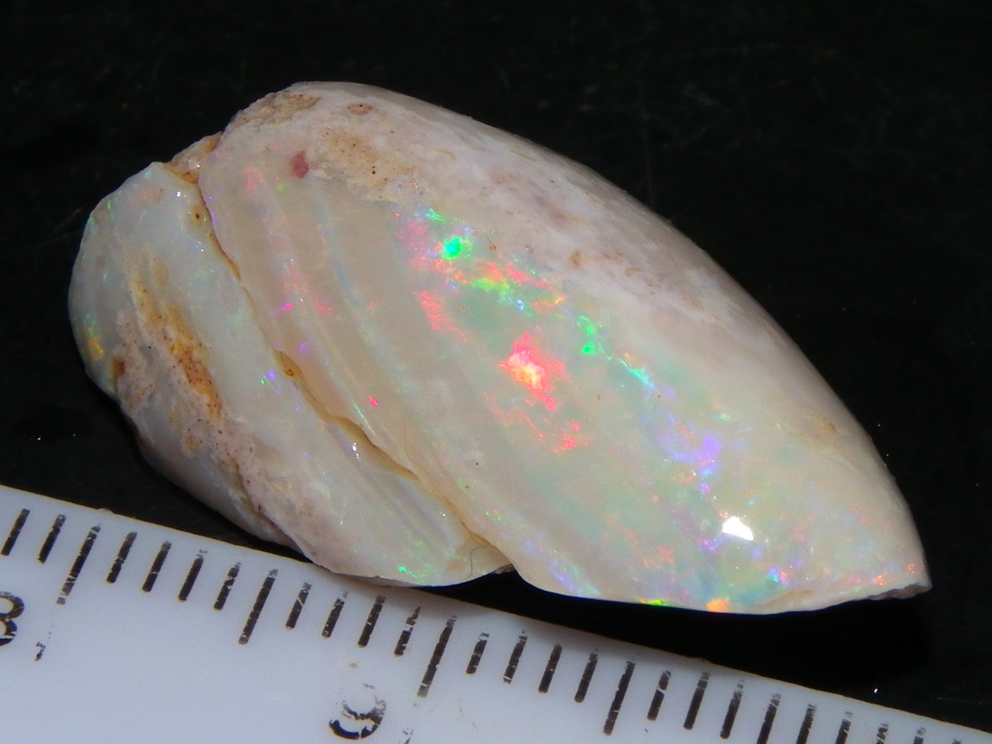 Nice Coober Pedy Fossil Opal Shell Specimen 14.2cts Red/Green/Blue Fires Australia