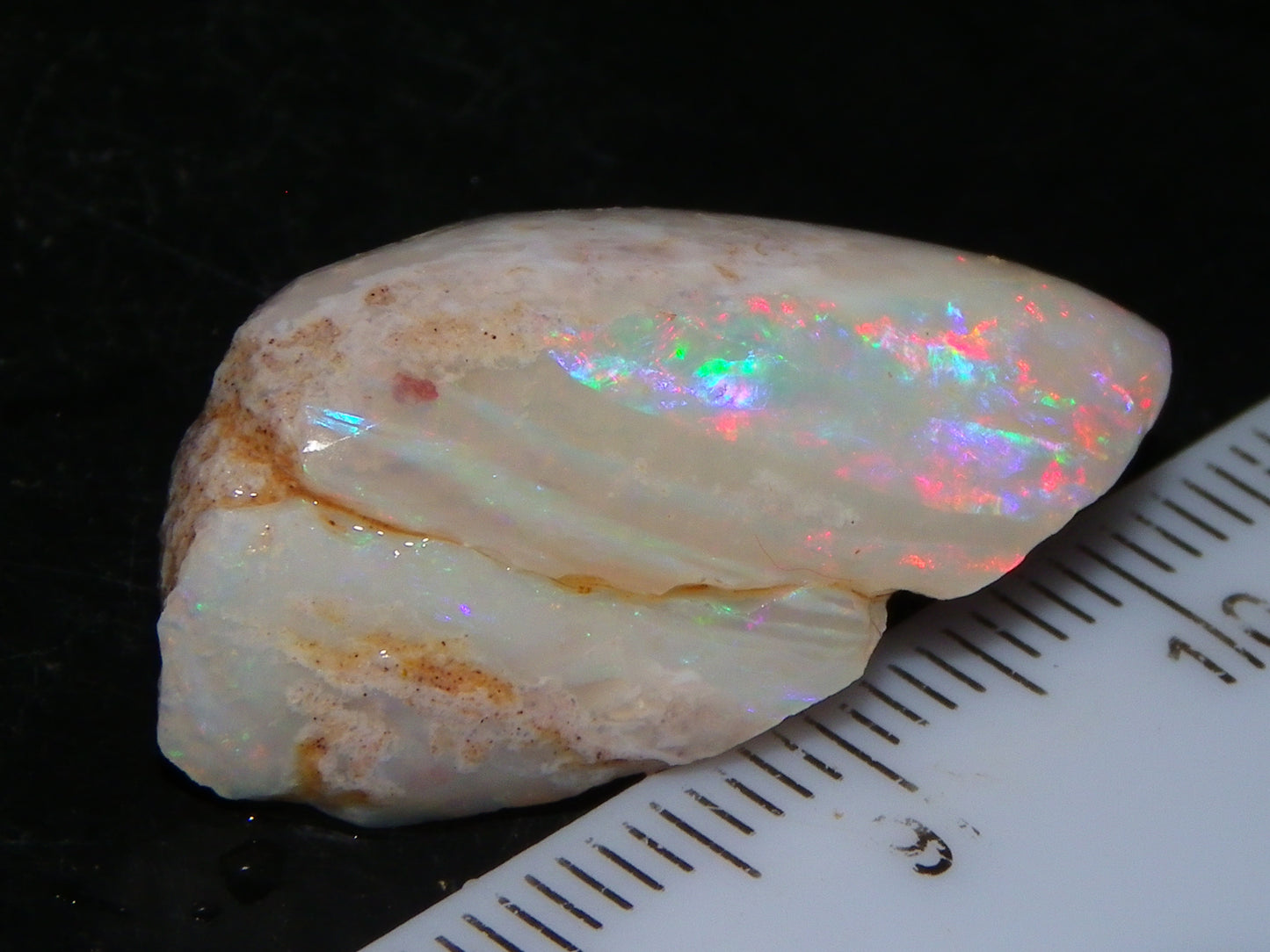 Nice Coober Pedy Fossil Opal Shell Specimen 14.2cts Red/Green/Blue Fires Australia