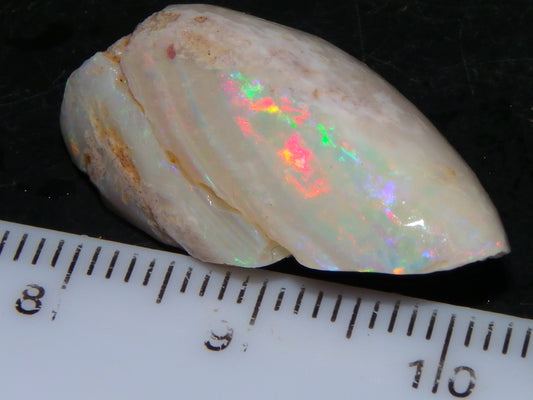 Nice Coober Pedy Fossil Opal Shell Specimen 14.2cts Red/Green/Blue Fires Australia