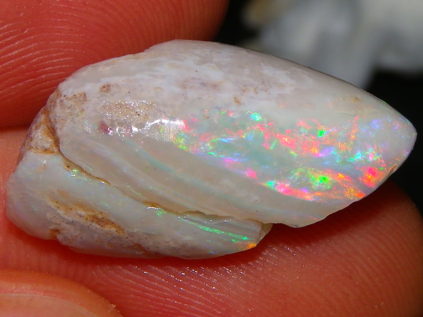 Nice Coober Pedy Fossil Opal Shell Specimen 14.2cts Red/Green/Blue Fires Australia