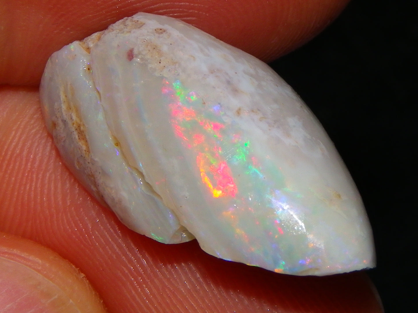 Nice Coober Pedy Fossil Opal Shell Specimen 14.2cts Red/Green/Blue Fires Australia