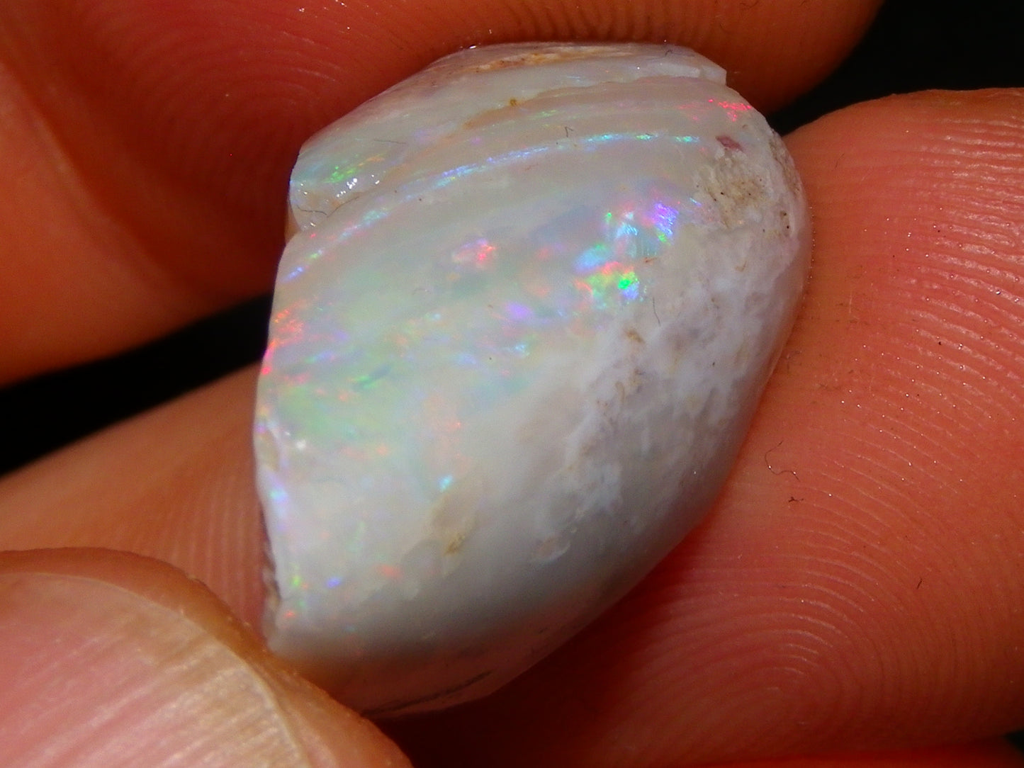 Nice Coober Pedy Fossil Opal Shell Specimen 14.2cts Red/Green/Blue Fires Australia