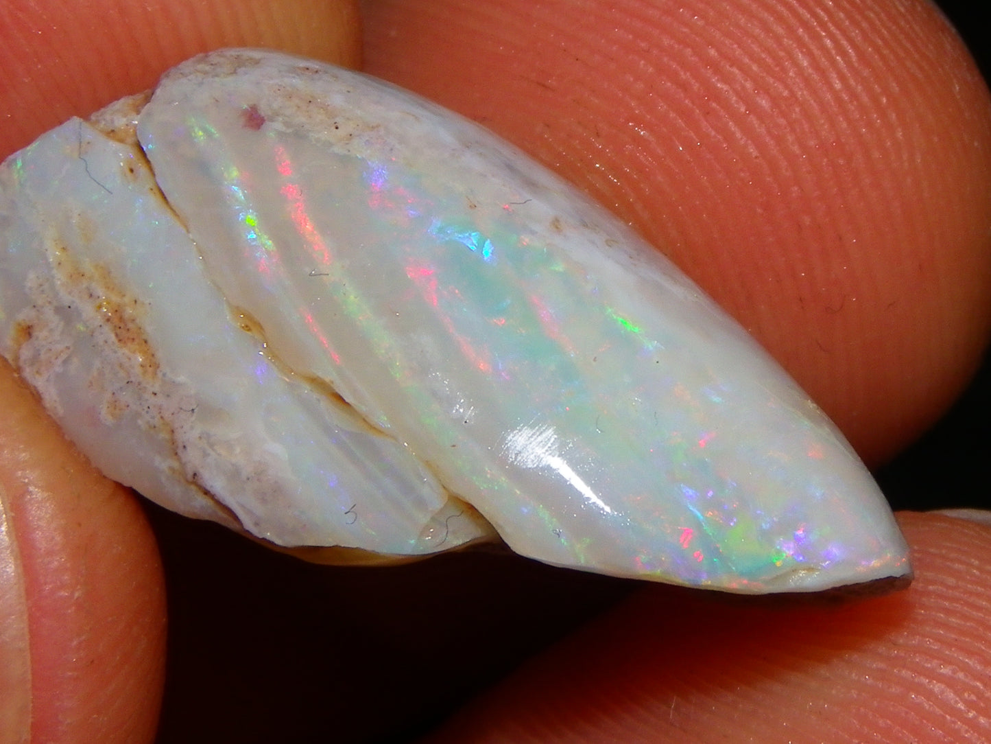 Nice Coober Pedy Fossil Opal Shell Specimen 14.2cts Red/Green/Blue Fires Australia