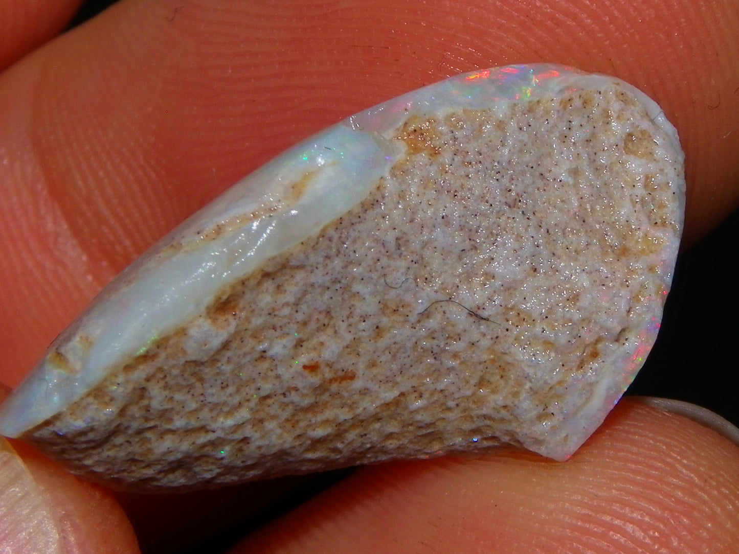 Nice Coober Pedy Fossil Opal Shell Specimen 14.2cts Red/Green/Blue Fires Australia