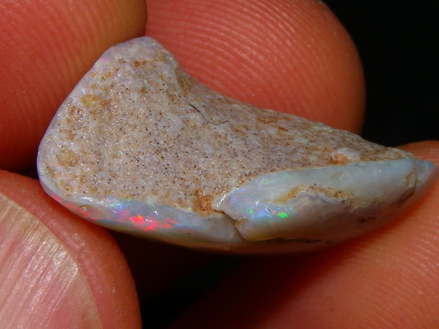 Nice Coober Pedy Fossil Opal Shell Specimen 14.2cts Red/Green/Blue Fires Australia