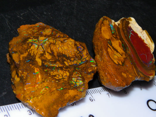 2 NIce Sliced/Rough Koroit Opal Nuts 226.9cts Queensland Australia Blue/Greens