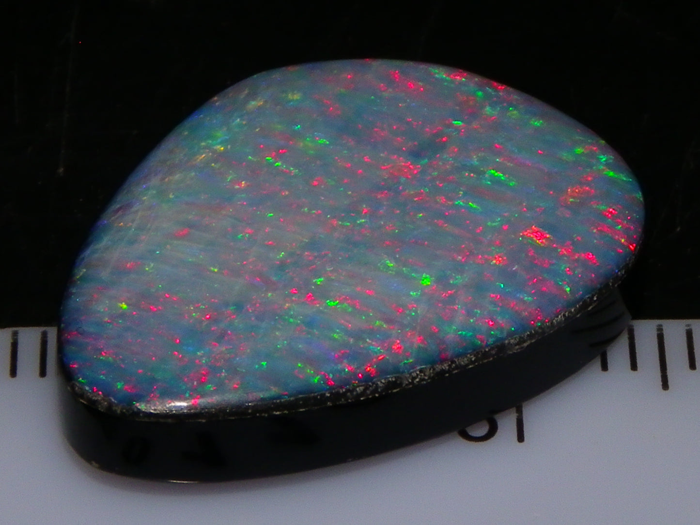 Nice CP Crystal Opal Doublet 14.05cts Red/Green Fires Black Base Australia