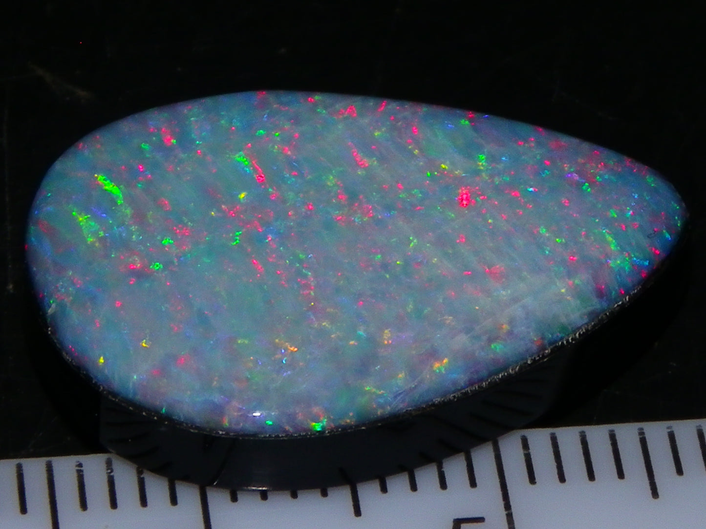 Nice CP Crystal Opal Doublet 14.05cts Red/Green Fires Black Base Australia