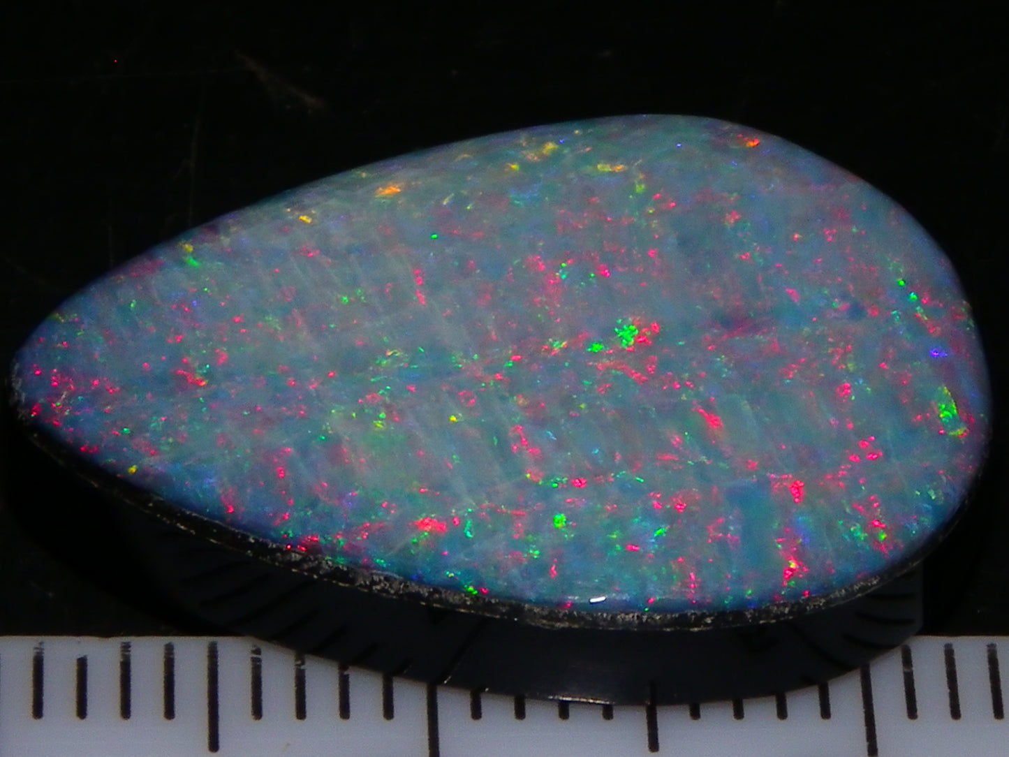 Nice CP Crystal Opal Doublet 14.05cts Red/Green Fires Black Base Australia