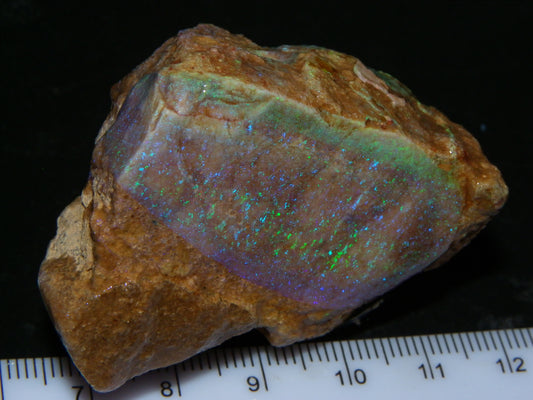 Nice Quality Andamooka "Blobby" Matrix Opal Specimen 315.5cts Green/Blue/Purples :)