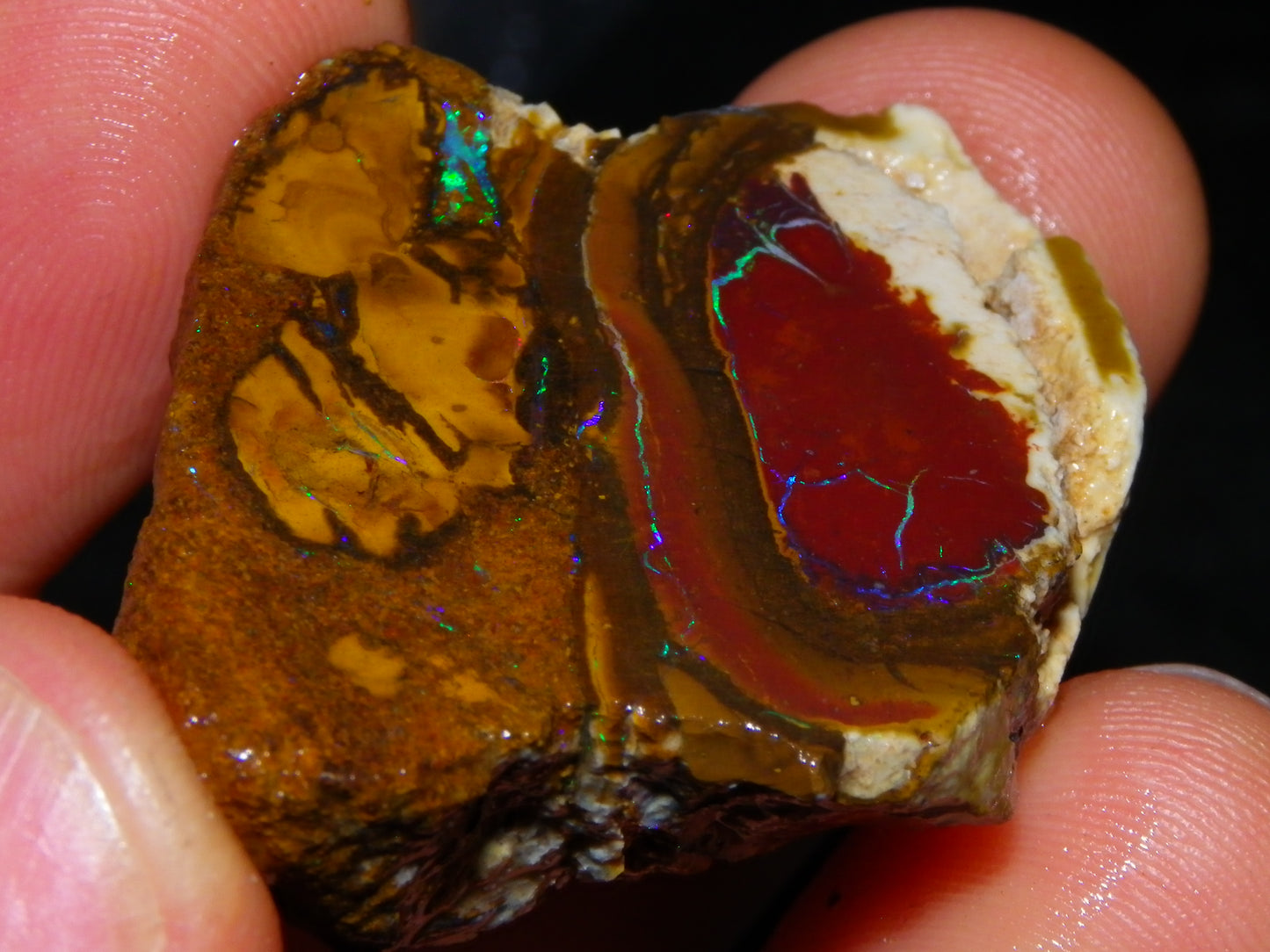 2 NIce Sliced/Rough Koroit Opal Nuts 226.9cts Queensland Australia Blue/Greens