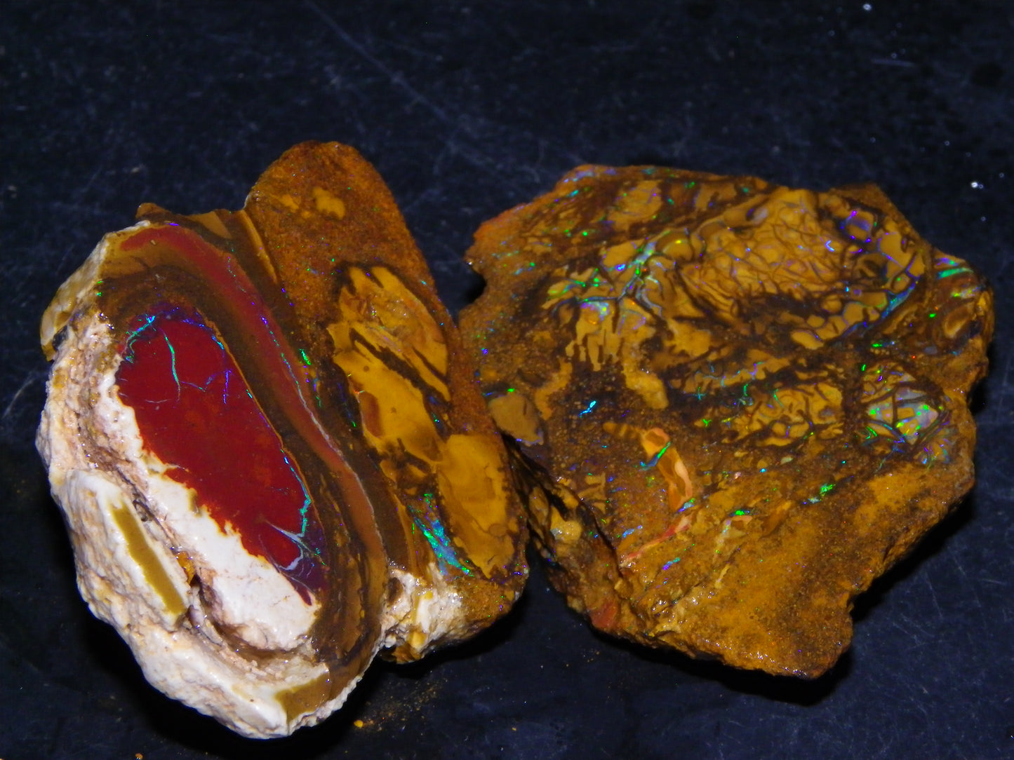 2 NIce Sliced/Rough Koroit Opal Nuts 226.9cts Queensland Australia Blue/Greens