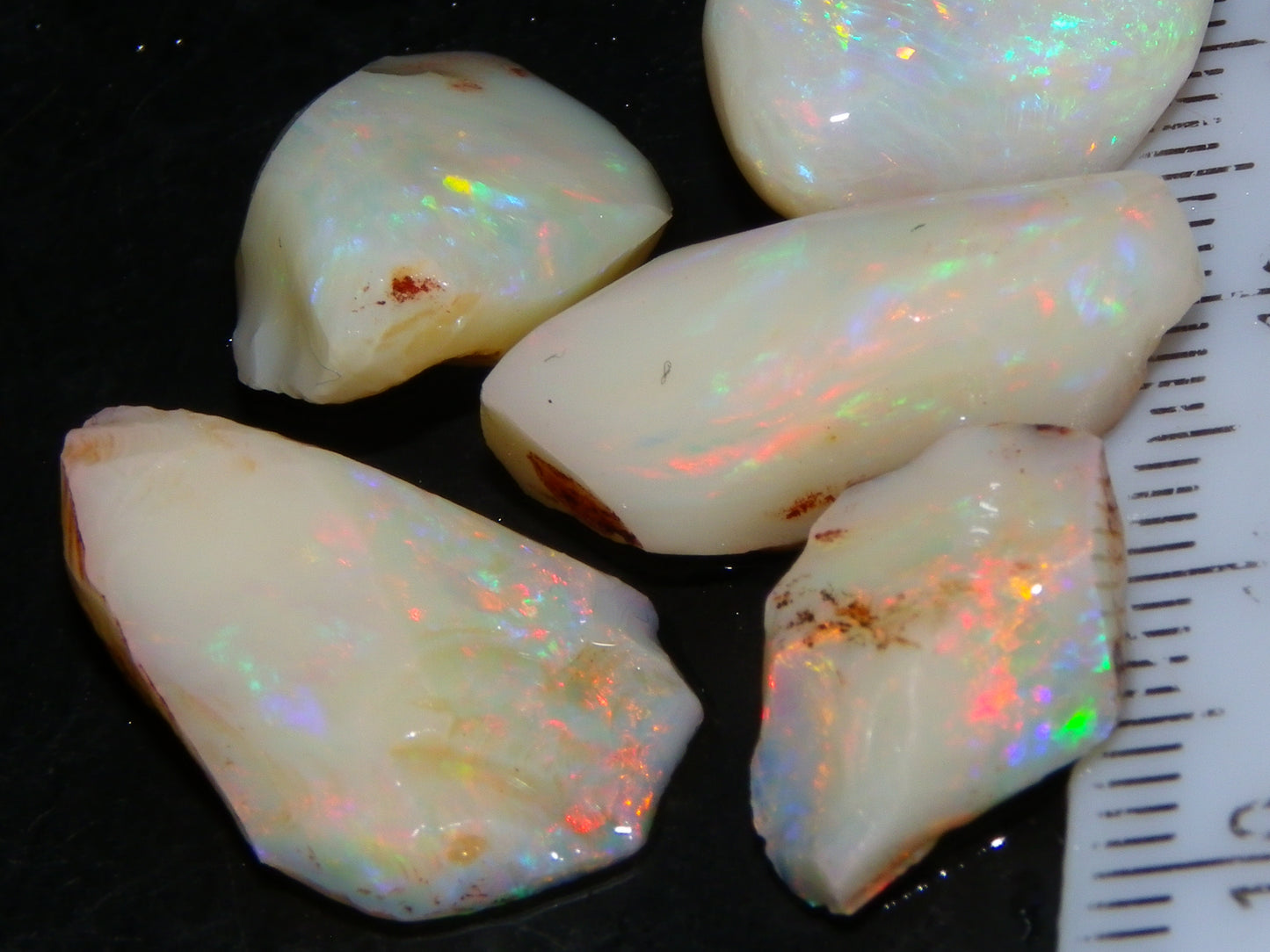 5 Nice Coober Pedy Rough/Rubbed Opals 31.65cts Red/Green/Blue Fires Australia