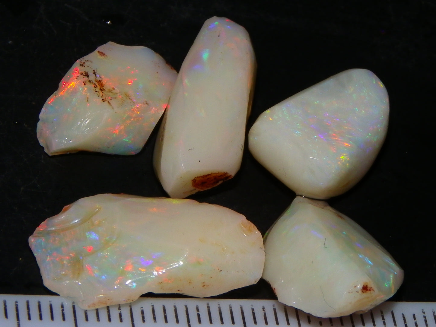 5 Nice Coober Pedy Rough/Rubbed Opals 31.65cts Red/Green/Blue Fires Australia