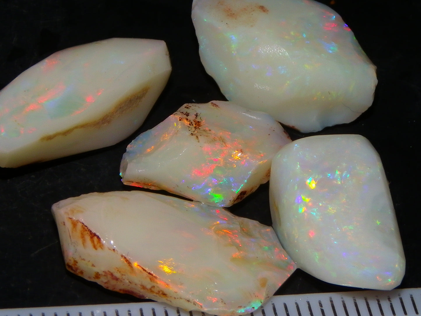 5 Nice Coober Pedy Rough/Rubbed Opals 31.65cts Red/Green/Blue Fires Australia