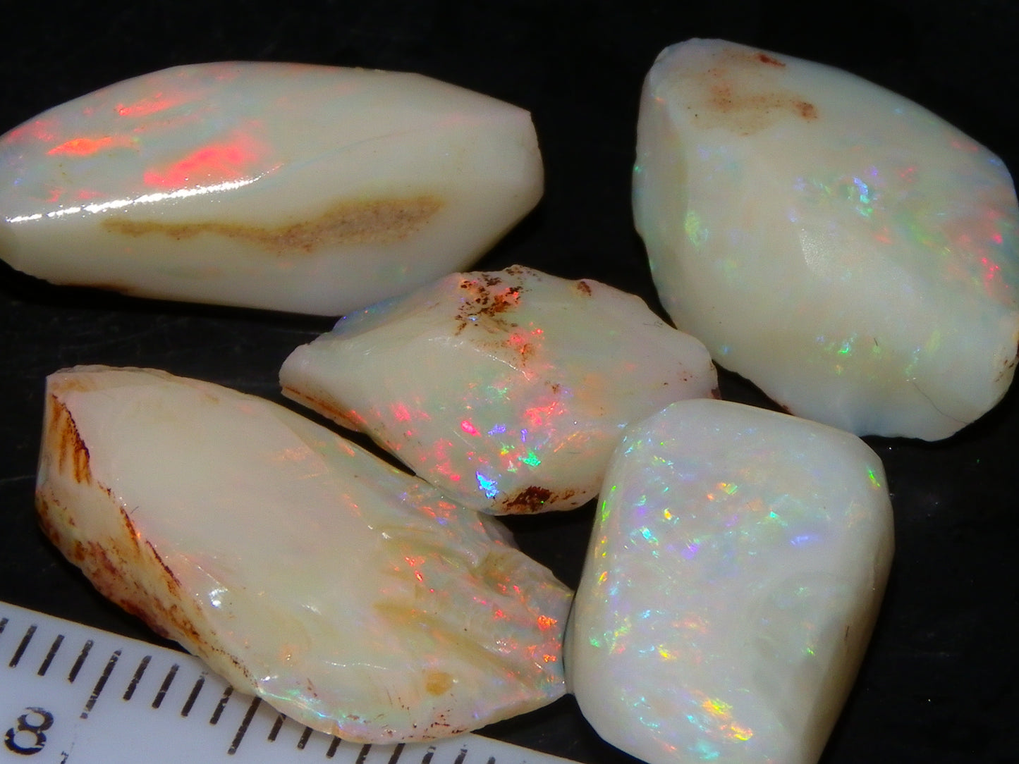 5 Nice Coober Pedy Rough/Rubbed Opals 31.65cts Red/Green/Blue Fires Australia