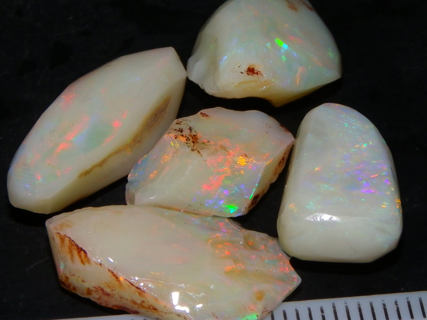 5 Nice Coober Pedy Rough/Rubbed Opals 31.65cts Red/Green/Blue Fires Australia