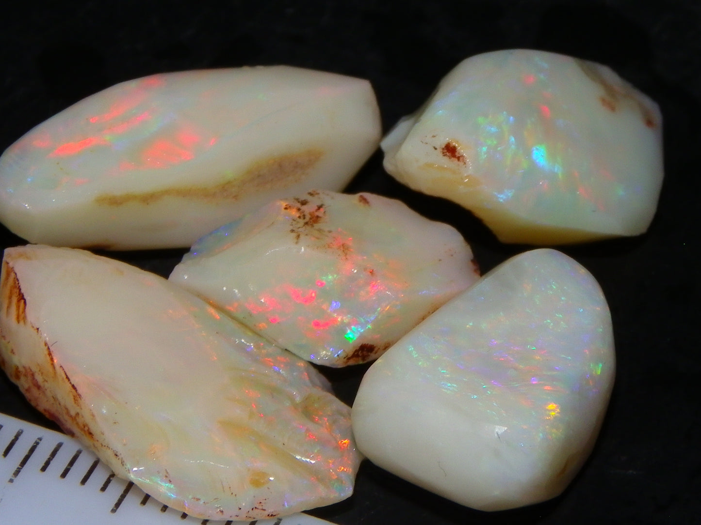 5 Nice Coober Pedy Rough/Rubbed Opals 31.65cts Red/Green/Blue Fires Australia