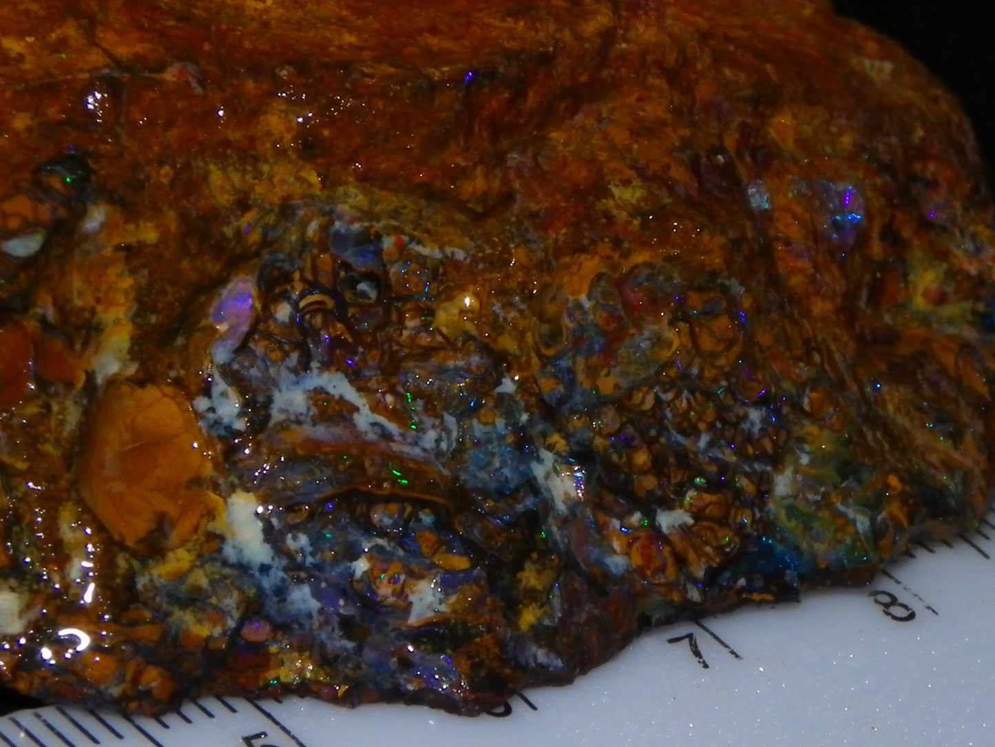 Nice Large Rough/Sliced Koroit Opal Specimen 498.5cts Blue/Purple Fires Australia