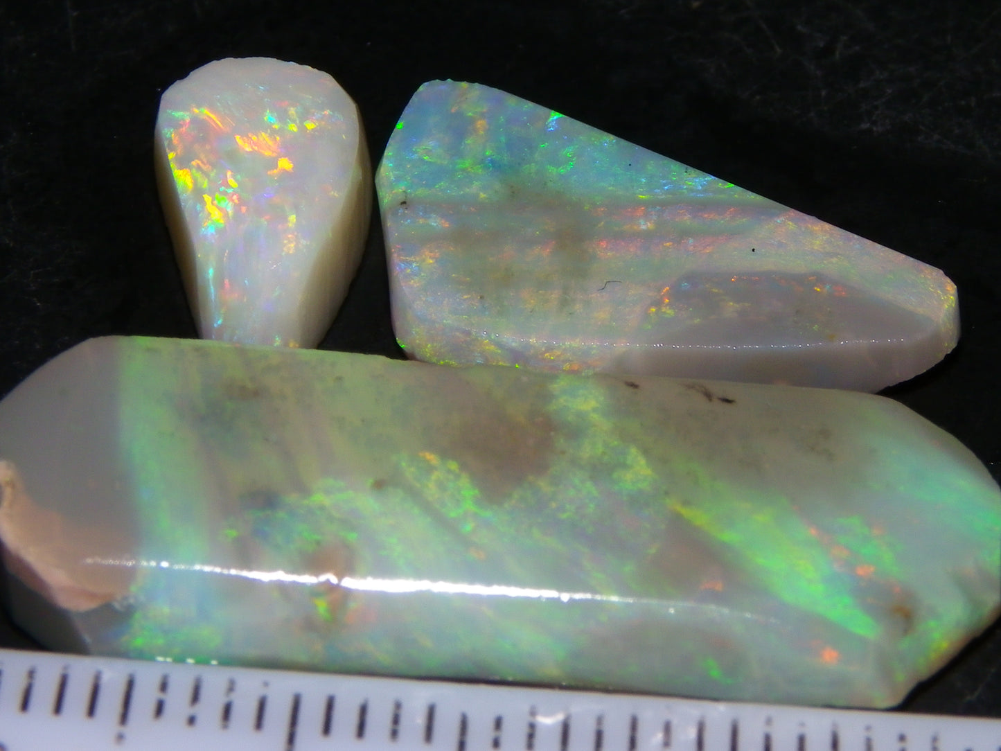 3 Nice Lightning Ridge Opal Rubs/Rough Preforms 19.1cts Green/Gold/Red Fires Australia