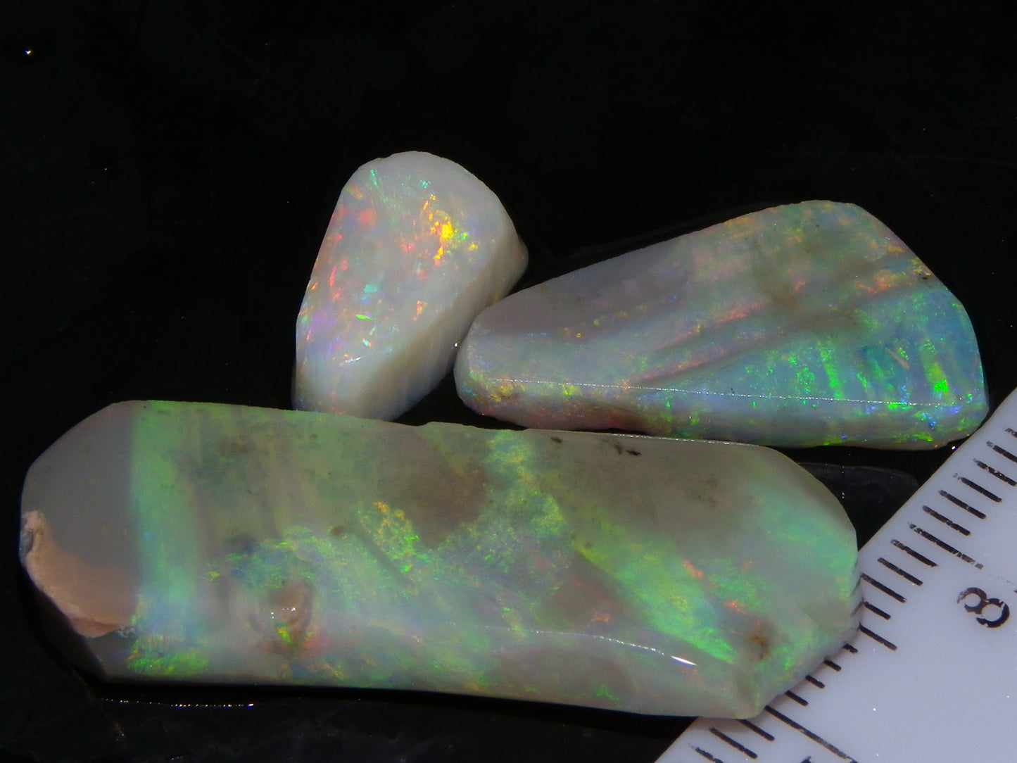 3 Nice Lightning Ridge Opal Rubs/Rough Preforms 19.1cts Green/Gold/Red Fires Australia