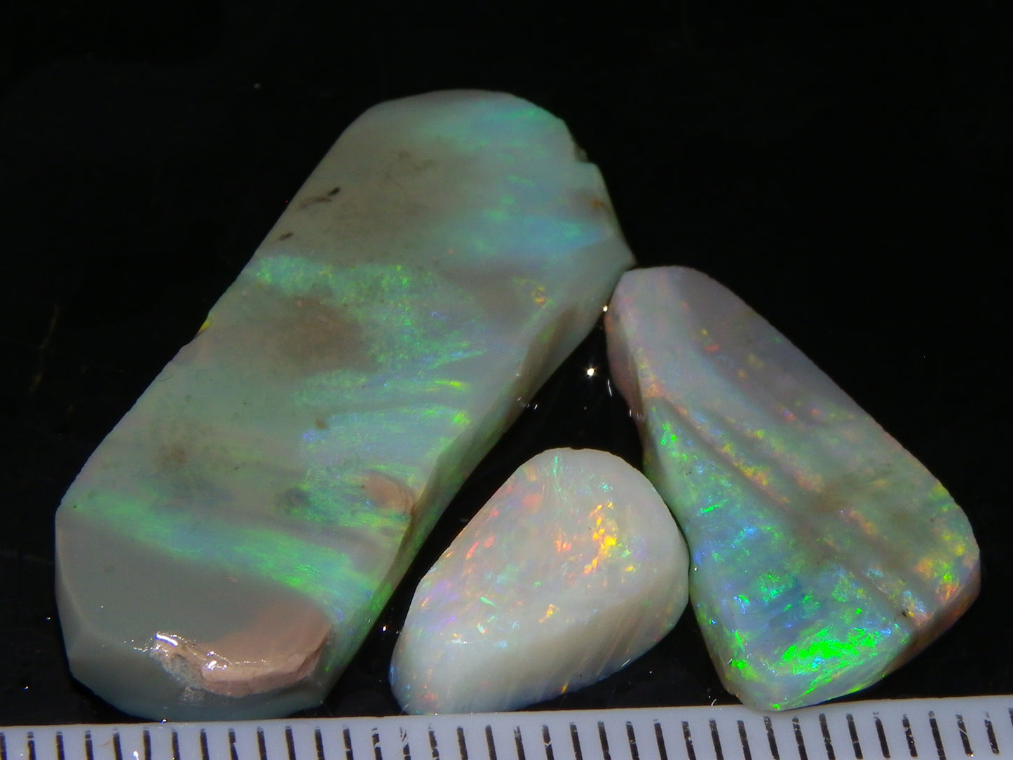 3 Nice Lightning Ridge Opal Rubs/Rough Preforms 19.1cts Green/Gold/Red Fires Australia