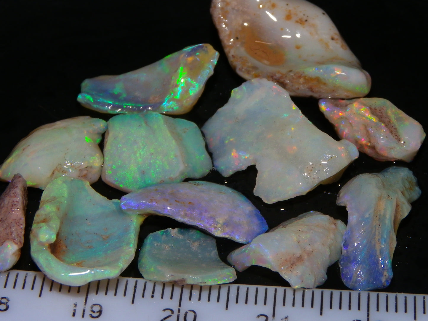 Nice Rough Coober Pedy Fossil Opals/Specimens 41cts Crystal/white Fires Collectors