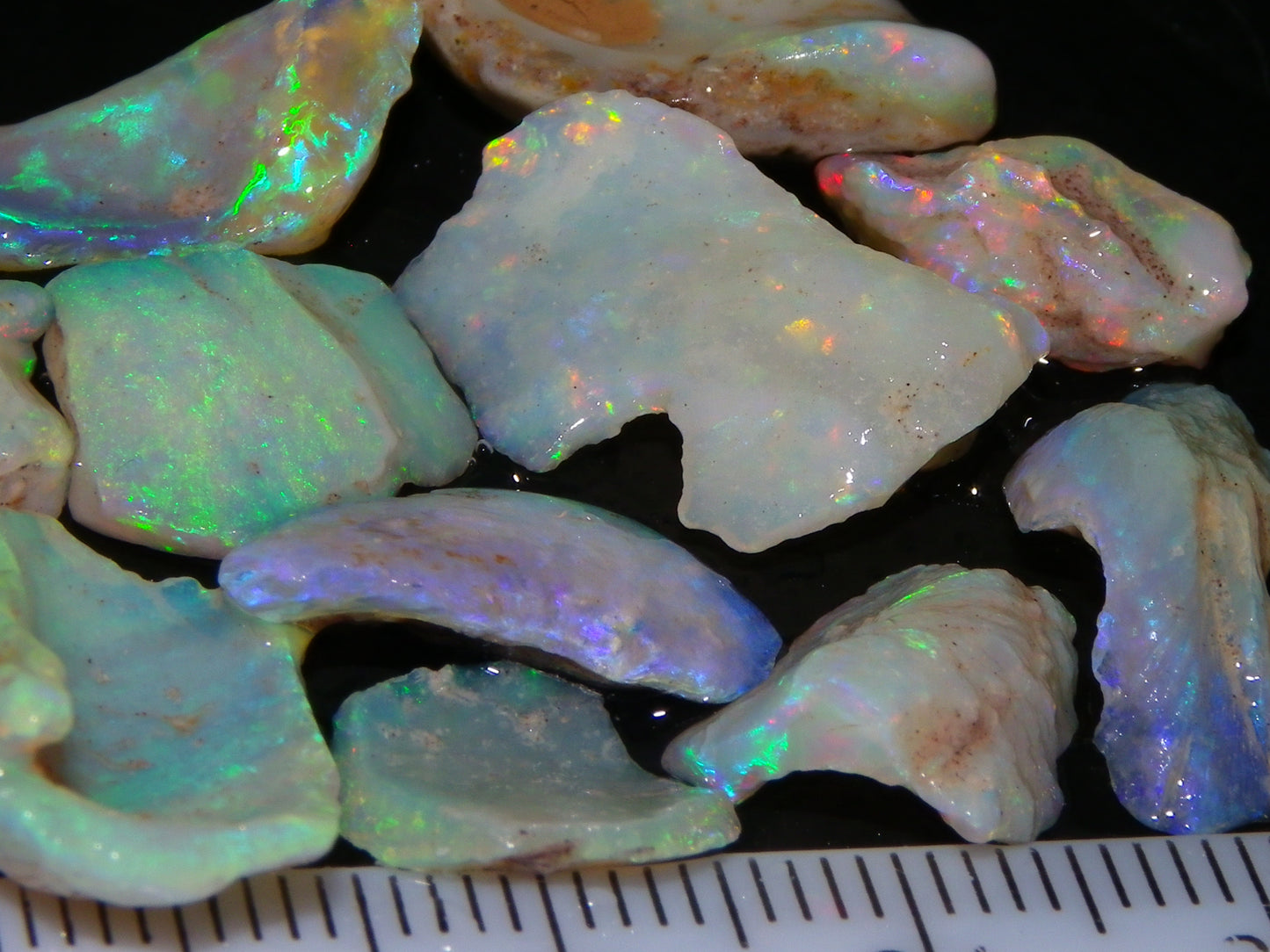 Nice Rough Coober Pedy Fossil Opals/Specimens 41cts Crystal/white Fires Collectors