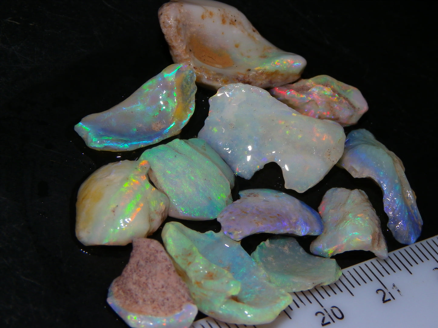 Nice Rough Coober Pedy Fossil Opals/Specimens 41cts Crystal/white Fires Collectors