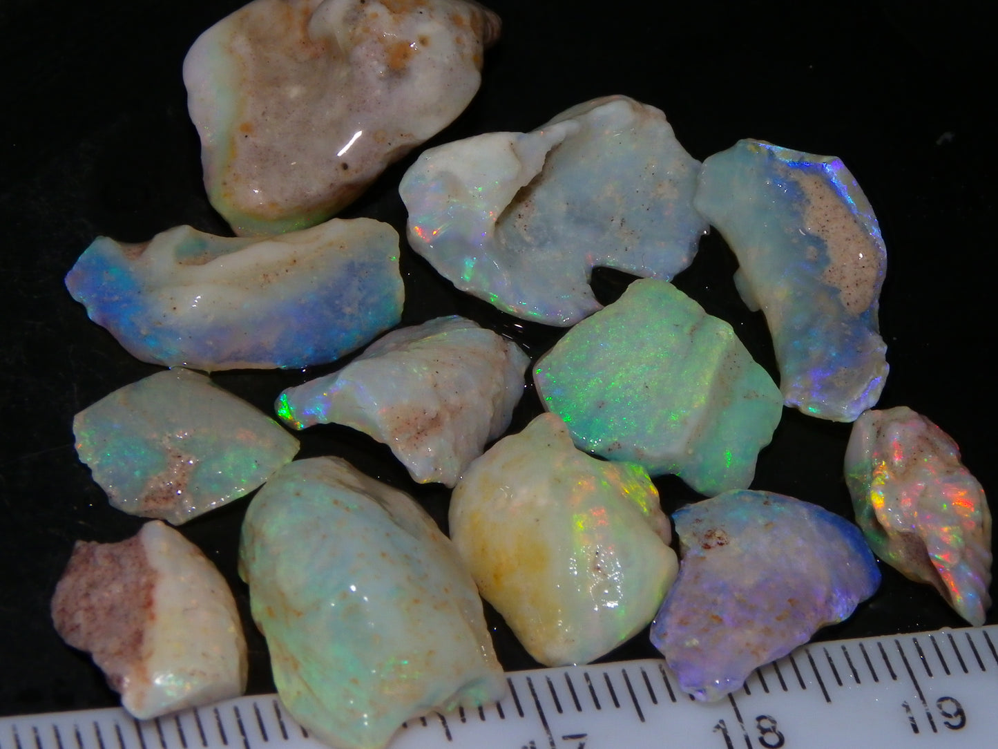 Nice Rough Coober Pedy Fossil Opals/Specimens 41cts Crystal/white Fires Collectors