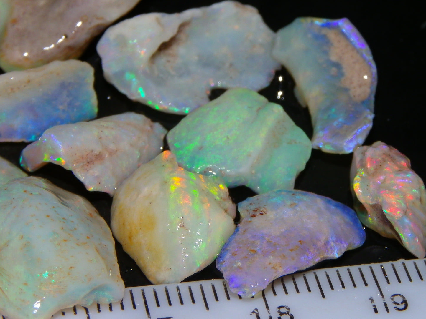 Nice Rough Coober Pedy Fossil Opals/Specimens 41cts Crystal/white Fires Collectors