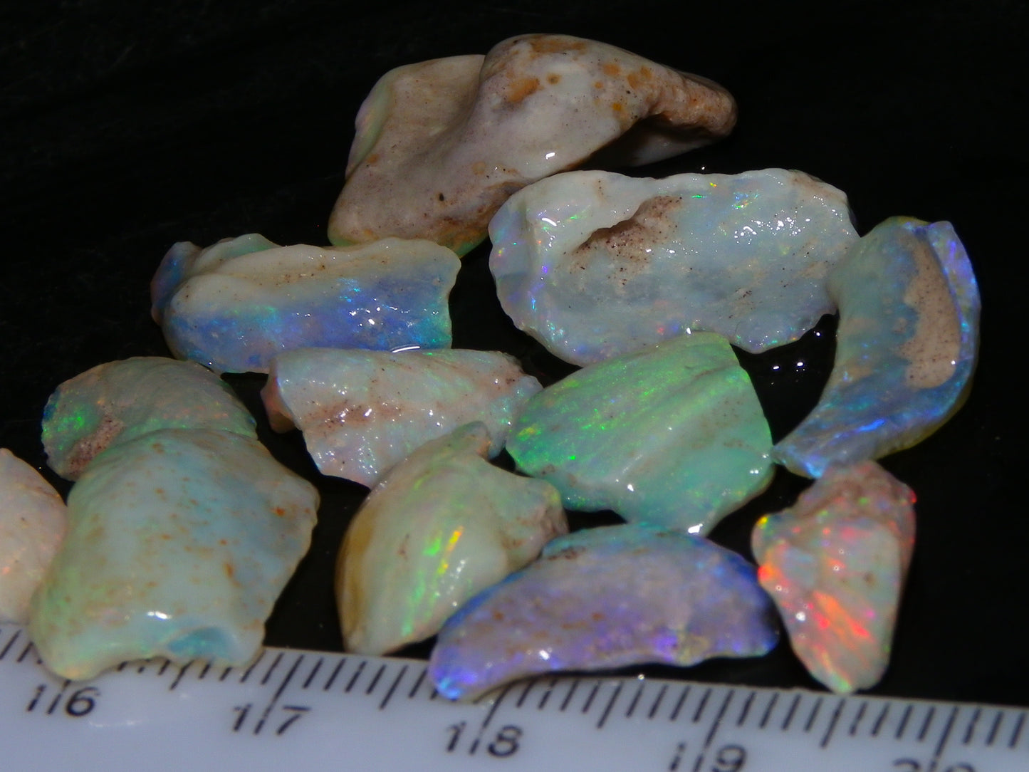 Nice Rough Coober Pedy Fossil Opals/Specimens 41cts Crystal/white Fires Collectors