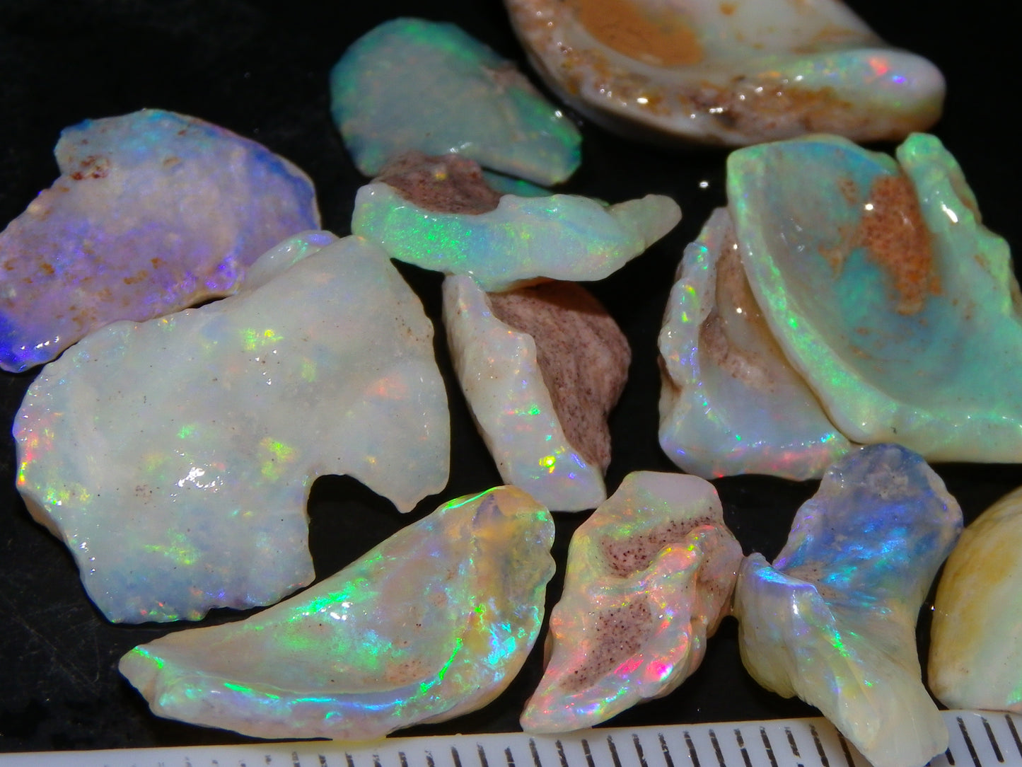 Nice Rough Coober Pedy Fossil Opals/Specimens 41cts Crystal/white Fires Collectors