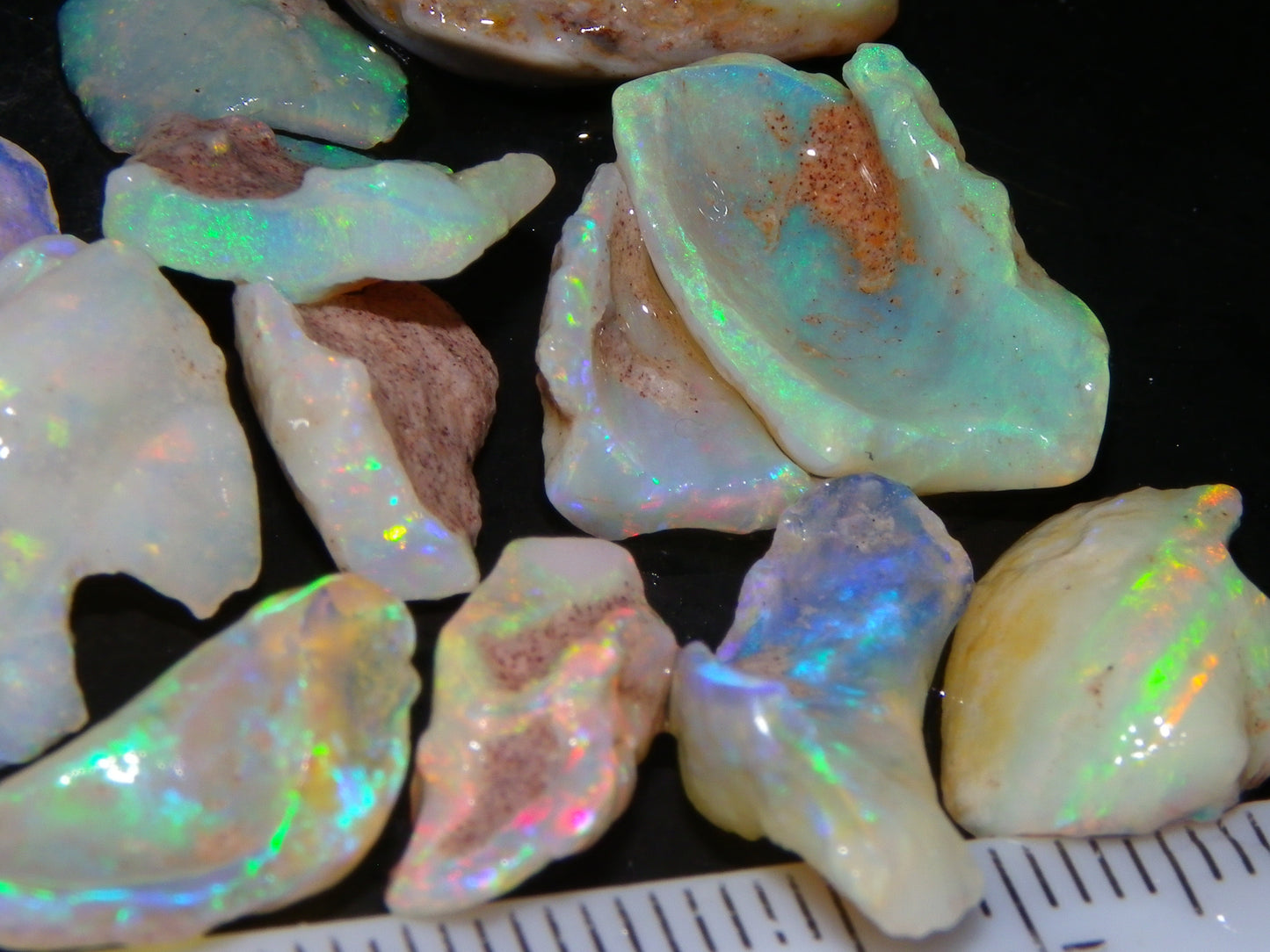 Nice Rough Coober Pedy Fossil Opals/Specimens 41cts Crystal/white Fires Collectors