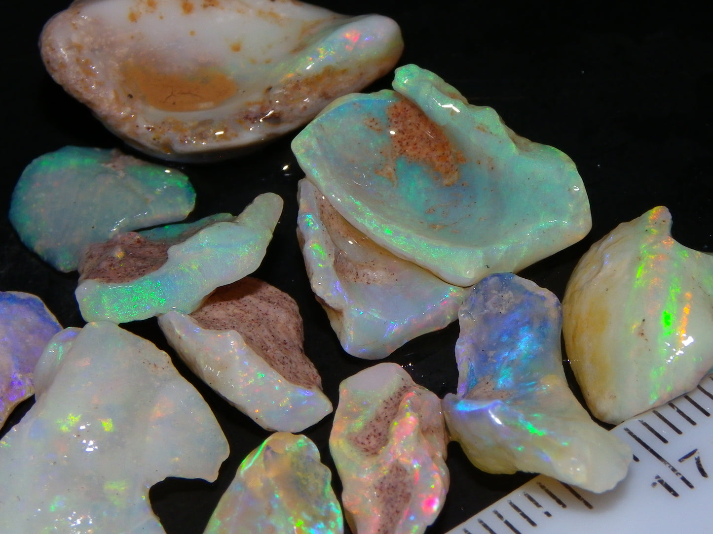 Nice Rough Coober Pedy Fossil Opals/Specimens 41cts Crystal/white Fires Collectors