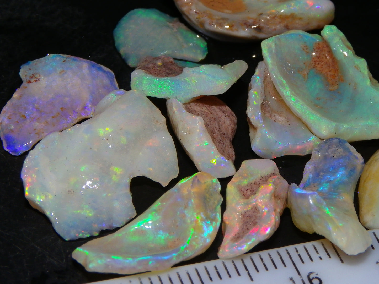 Nice Rough Coober Pedy Fossil Opals/Specimens 41cts Crystal/white Fires Collectors