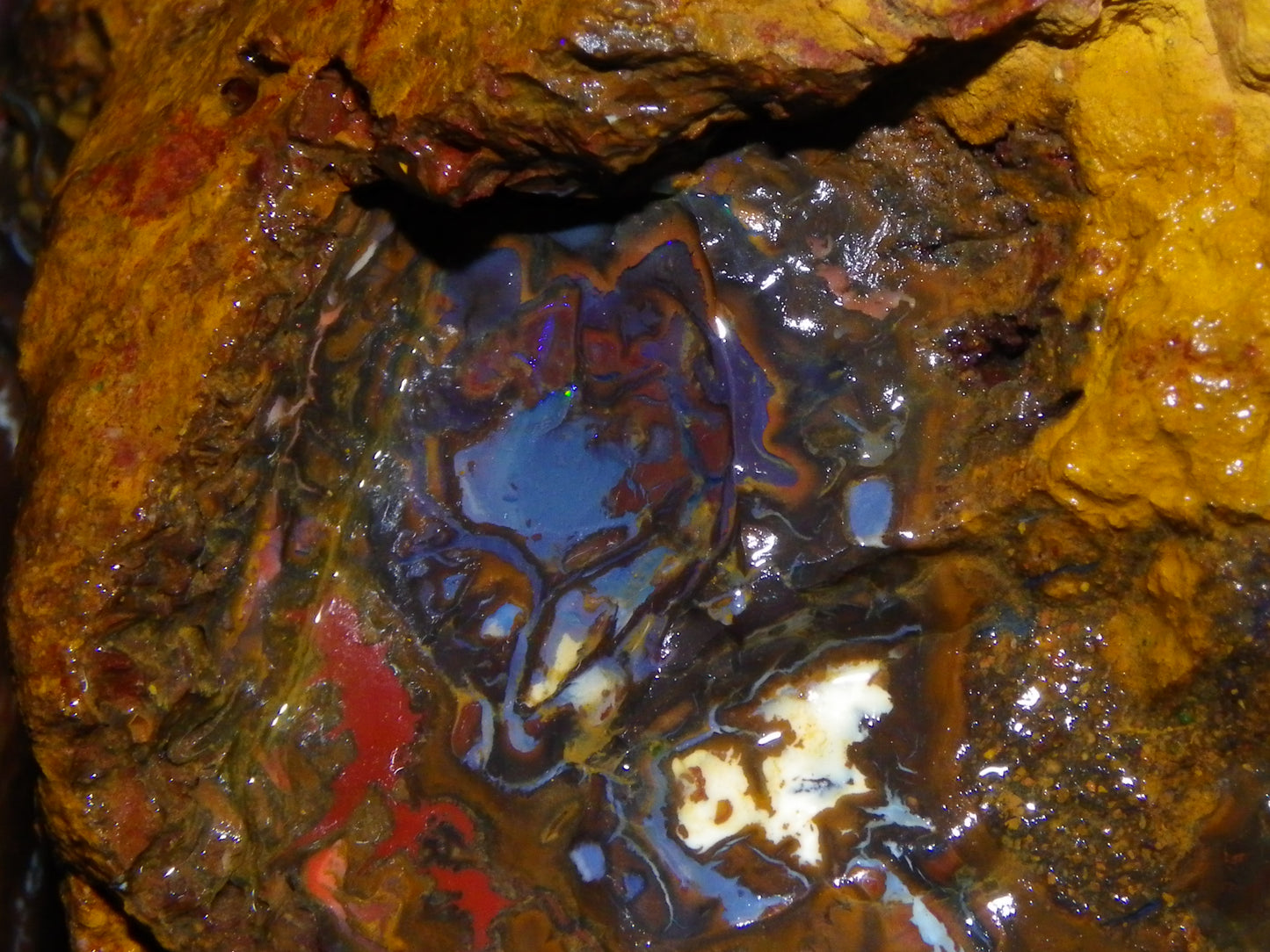 Huge 1498 Gram Sliced Koroit Opal Half Nut Patterns/Purple/Green Fires Queensland Australia