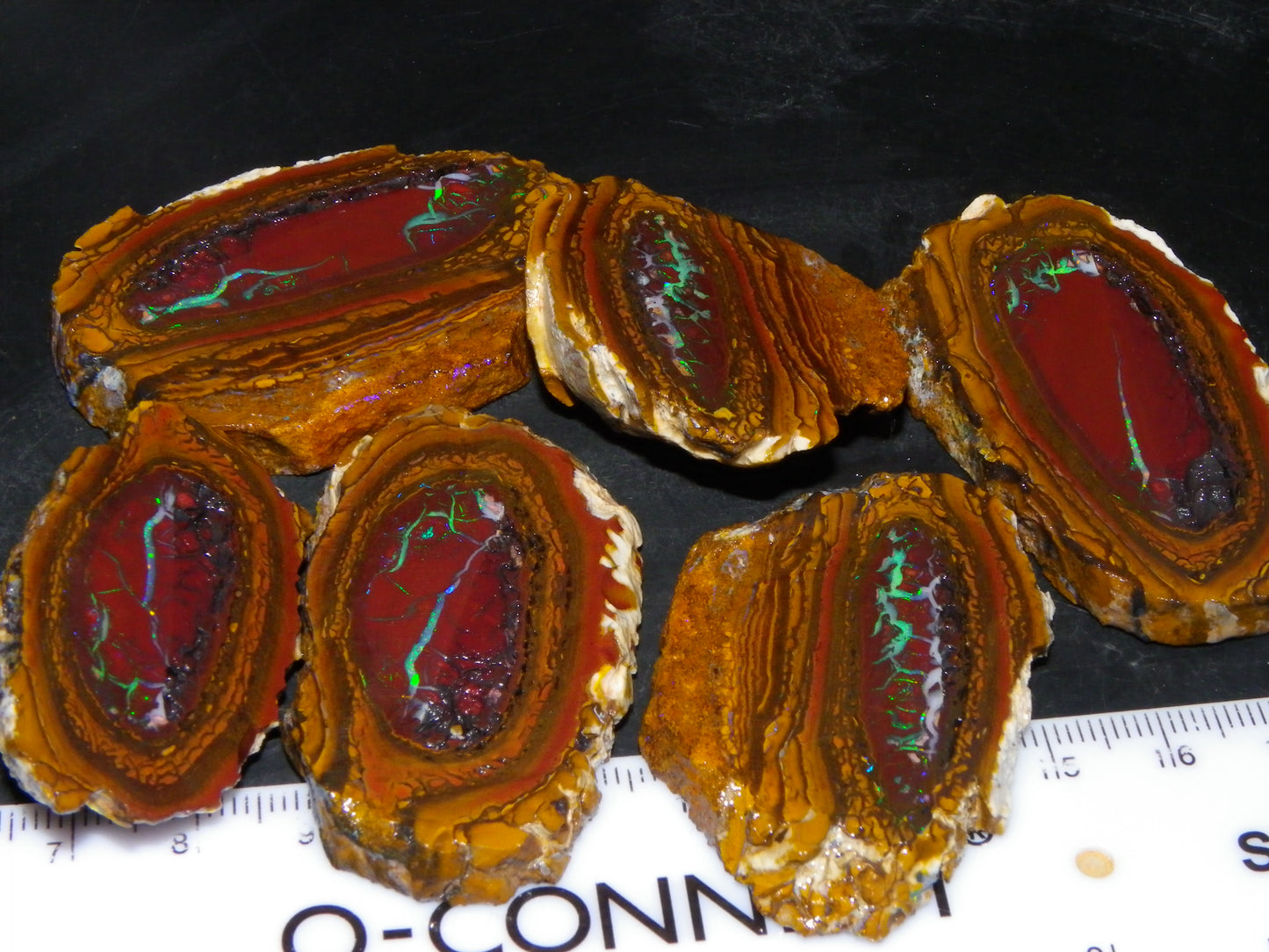 Very Nice Sliced Koroit Opal Nut 597cts Queensland 6x Pieces Fires/Matching Patterns Au