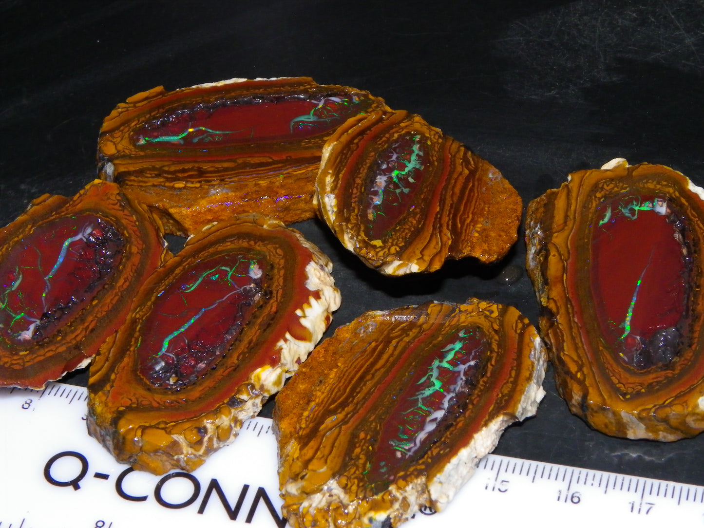 Very Nice Sliced Koroit Opal Nut 597cts Queensland 6x Pieces Fires/Matching Patterns Au