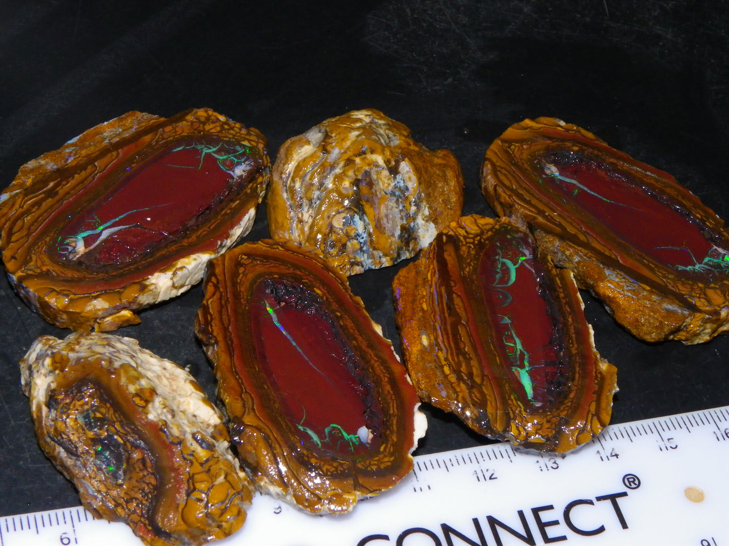 Very Nice Sliced Koroit Opal Nut 597cts Queensland 6x Pieces Fires/Matching Patterns Au