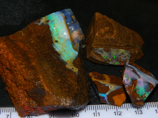 NIce Rough Boulder Opals/Rubbed Specimens 455cts Queensland Australia Fires